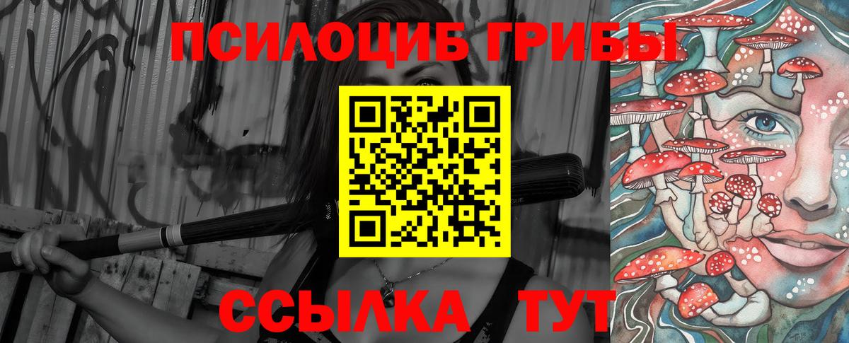 Псилоцибиновые грибы Cubensis  закладки  Кызыл  Вход с VPN  Галлюциногенные грибы мицелий 